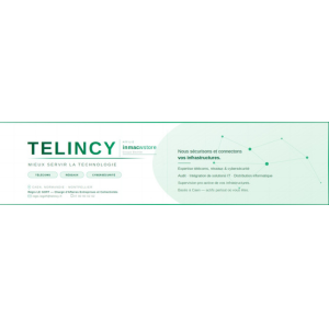 logo Telincy